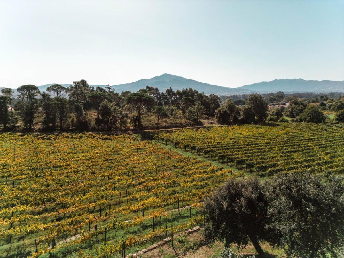 Quinta Do Convento De Val' Pereiras Bed & Breakfast ปอนเตเดอลิมา ภายนอก รูปภาพ